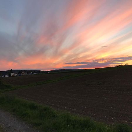 Weinbach Ferienwohnung Am Weiltalradweg المظهر الخارجي الصورة