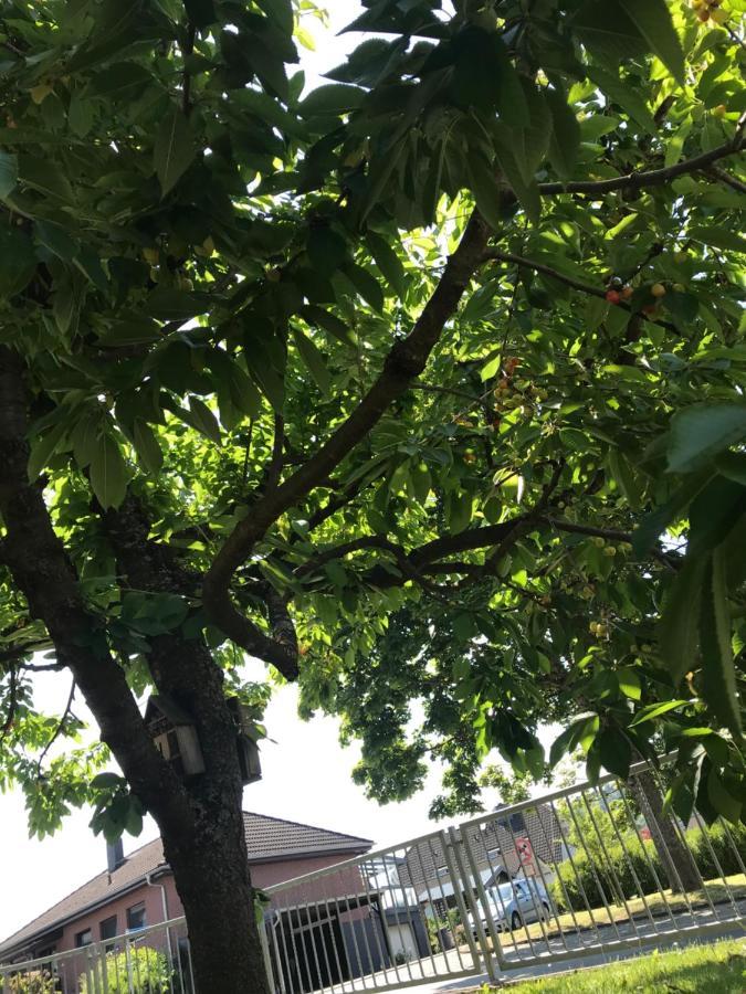Weinbach Ferienwohnung Am Weiltalradweg المظهر الخارجي الصورة