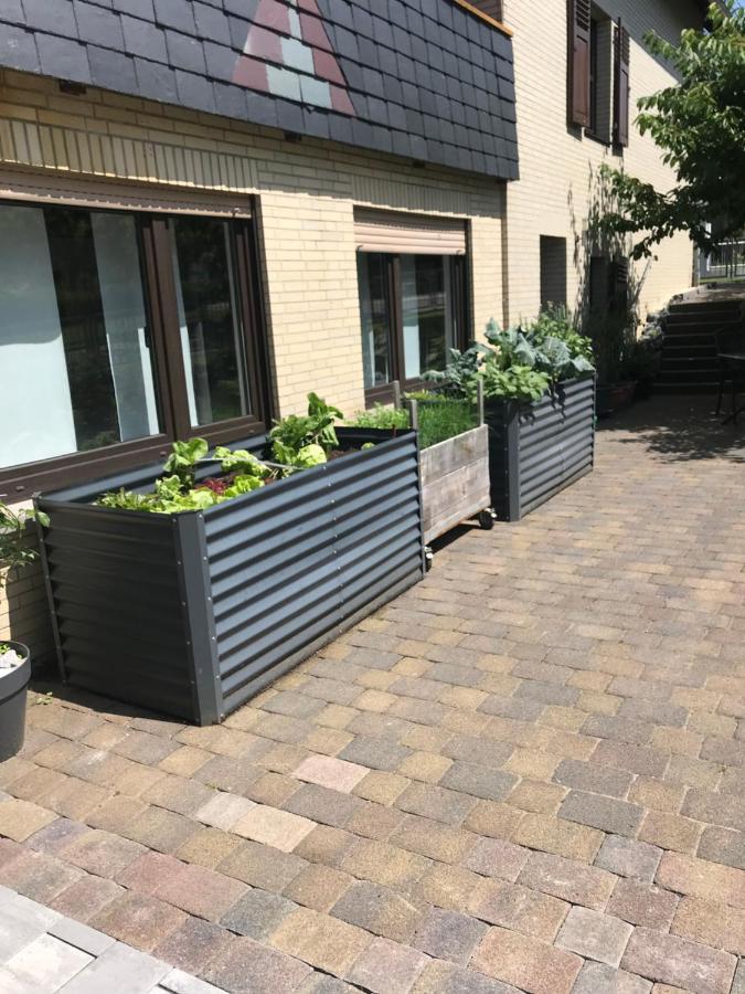 Weinbach Ferienwohnung Am Weiltalradweg المظهر الخارجي الصورة
